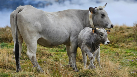 Winfarm : un bon 1er semestre 2025