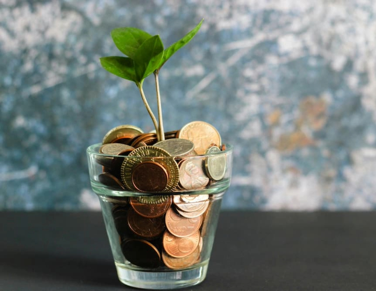 Les placements en actions plus rentables à long terme que les livrets et le fonds euros